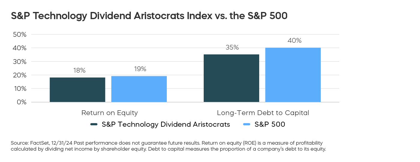 sp_technology_dividend_aristocrats_123124.png